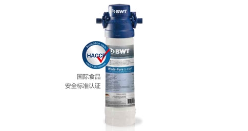 BWT Woda-Pure s超能系列丝瓜视频色板APP器